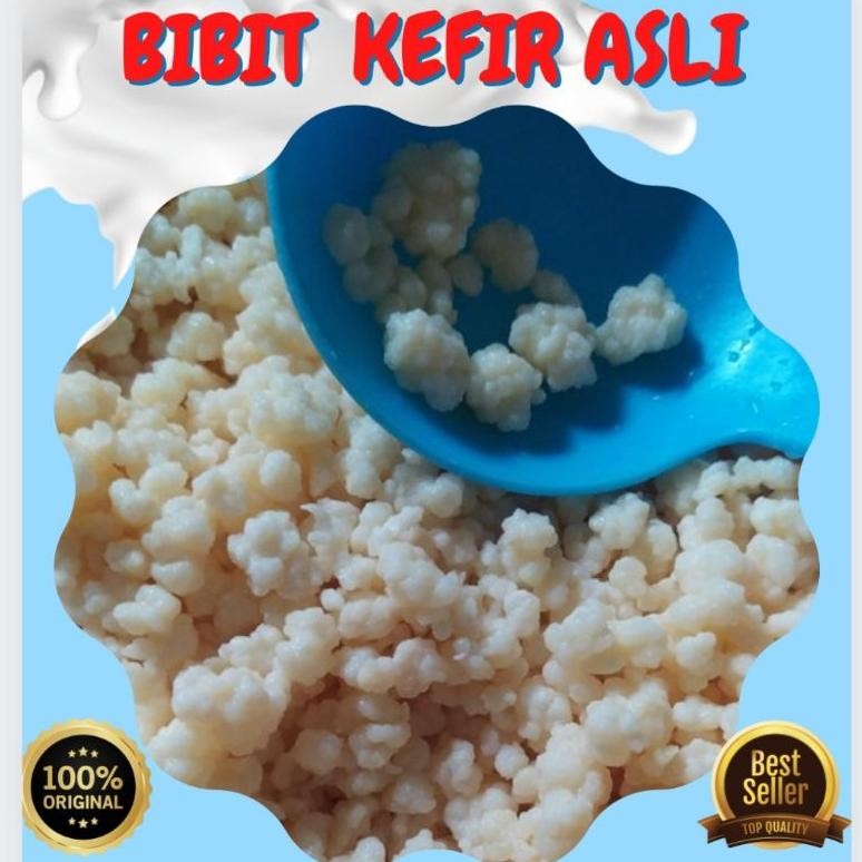 

Bibit Kefir Grains Kualitas Premium 100% Asli Nugi