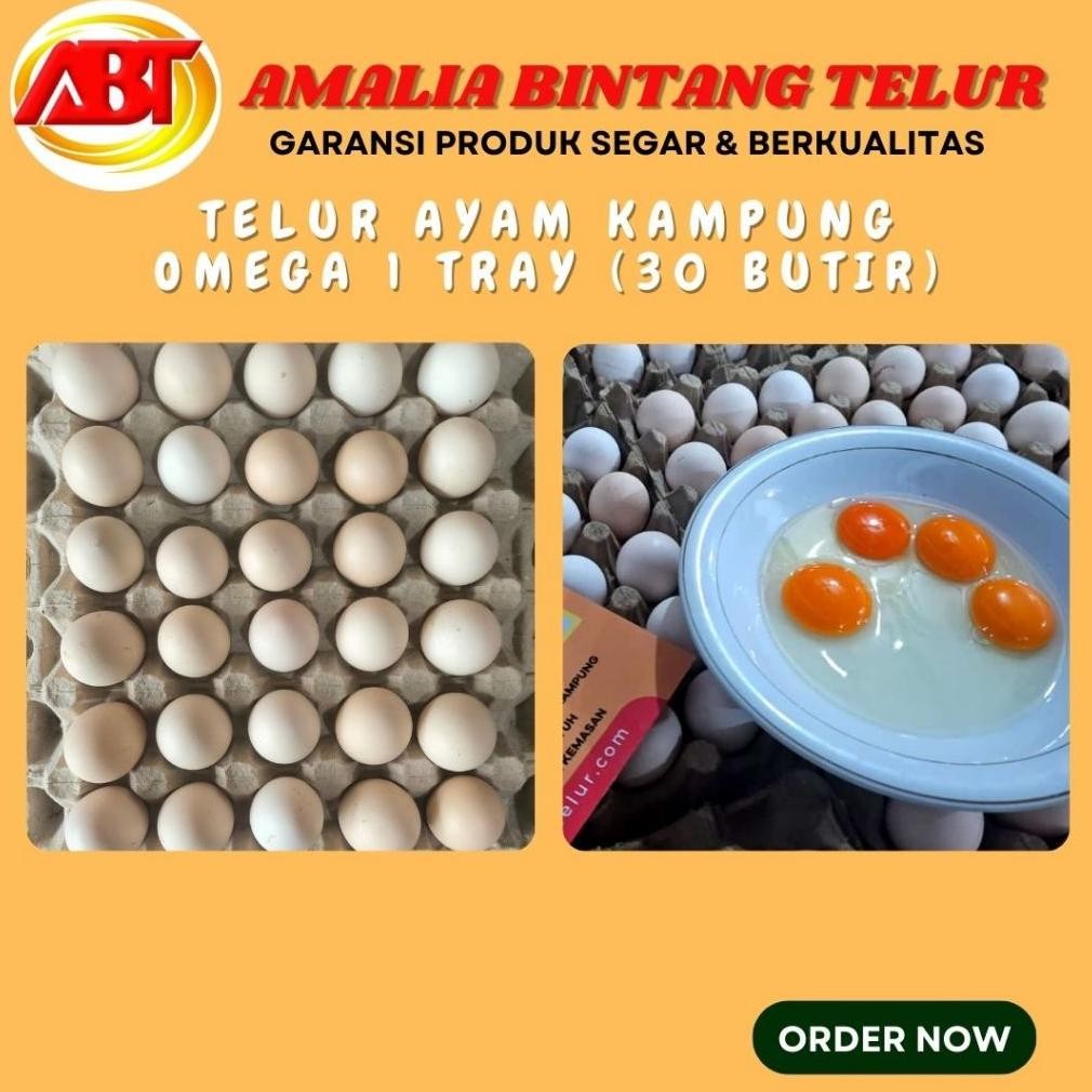 

Telur Ayam Kampung Omega Isi 30 Butir Segar Berkualitas Nugi