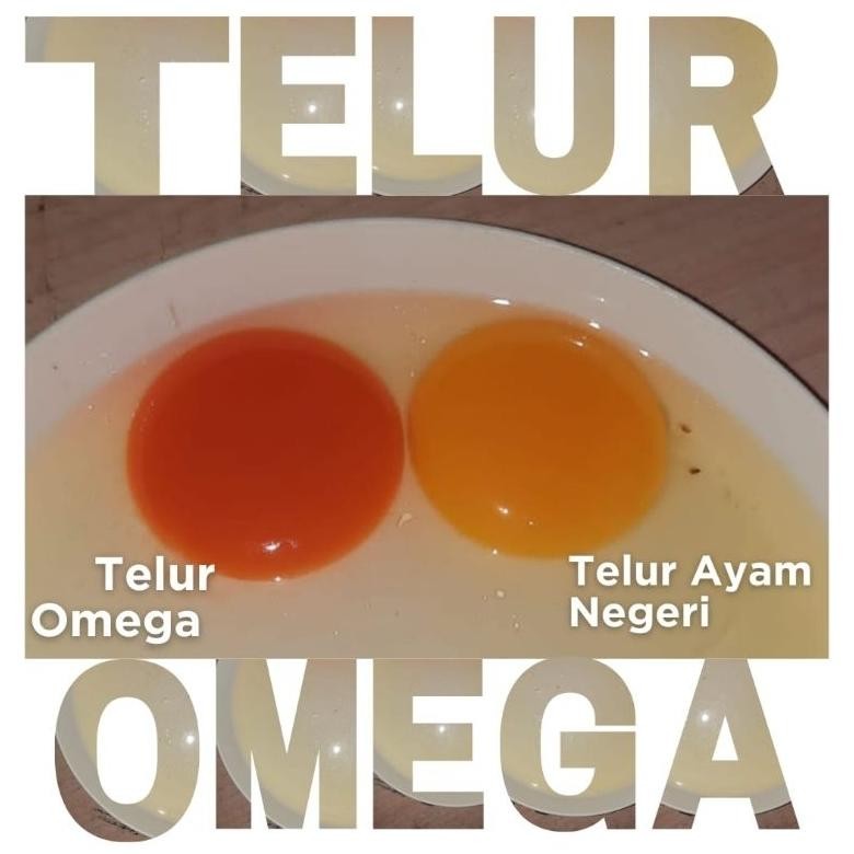 

Telur Ayam Omega 3 Fresh 30 Butir Khusus Bandung Nugi