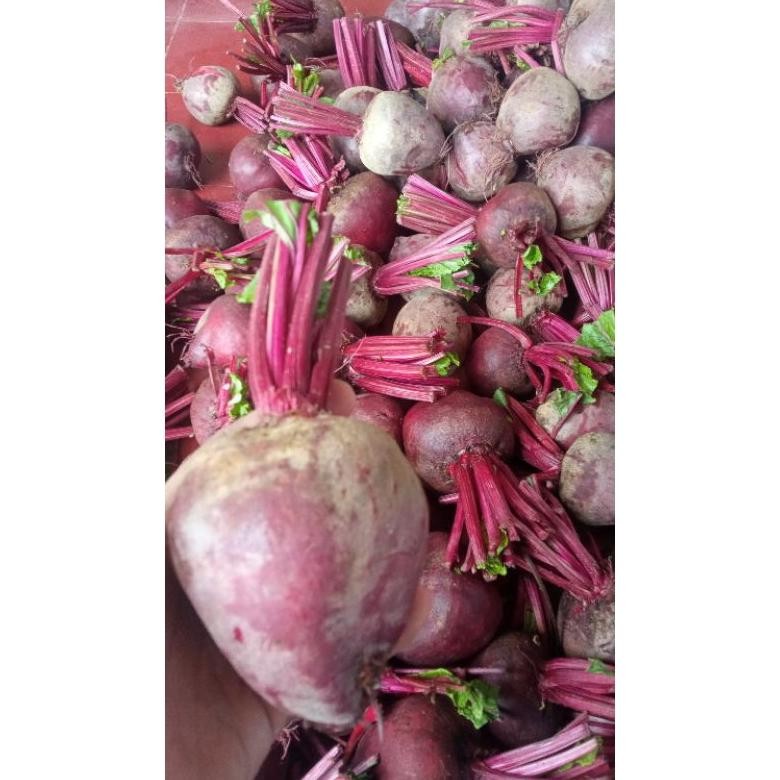 

Buah Bit Organik 1 kg Nugi