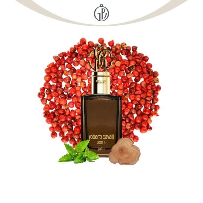 Parfum Roberto Cavalli Uomo for Men Parfum 100 ml