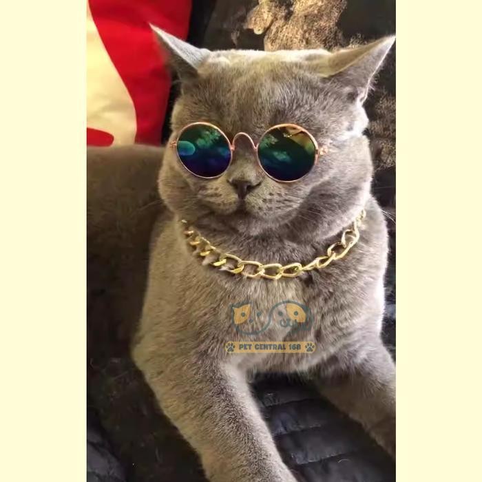 VA Aksesoris Kalung Hewan Peliharaan Anjing Kucing Fashion Kalung Rantai Emas