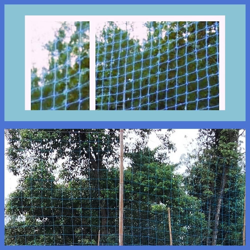 Jaring Pengaman Voli Jaring Pagar lapangan Voly 2mm Jaring Lapangan Volly 2mm