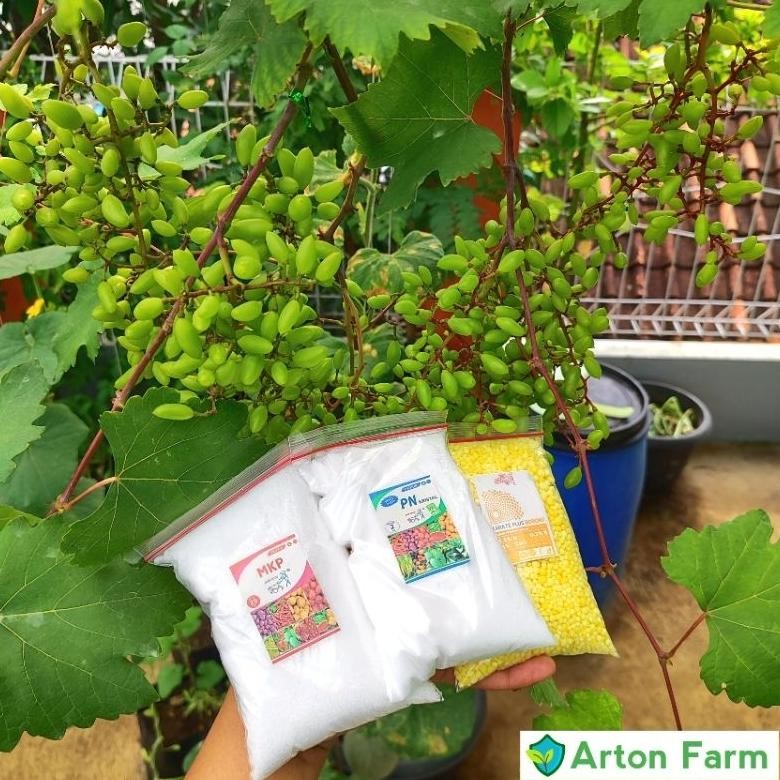 PUPUK MKP KNO3 PUTIH KARATE BORON TOTAL 900 GRAM - PUPUK PAK TANI REPACK