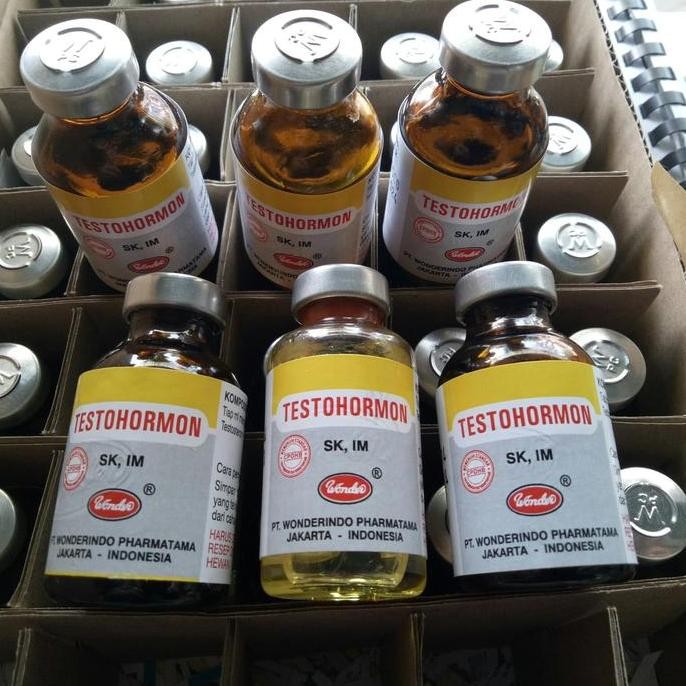 :<:<:<:<] Testohormon 20 ml obat suntik