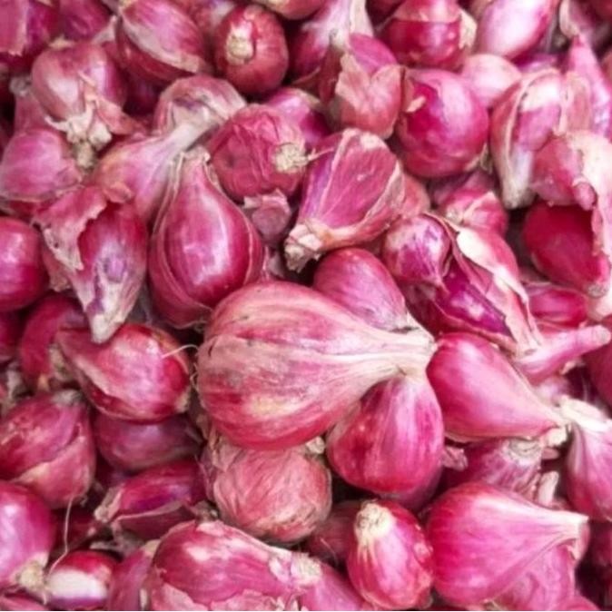 

Bawang merah brebes 1kg bawang merah brebes (promo) 1kg. Masakan HM