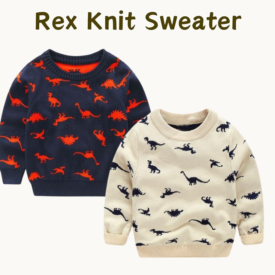 Rex Knit Sweater Sweater Anak Laki Laki Baju Dingin Anak Laki Laki