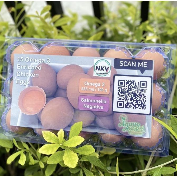 

Produk Baru!! Telur Omega 3 Kemasan 15 Butir - Telur Segar Kandang NKV