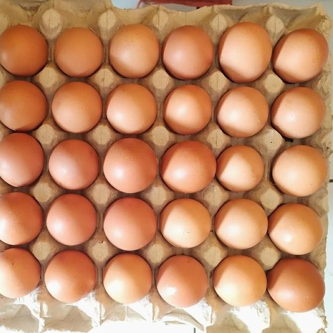 

Produk Baru!! Telur Ayam Negeri Lokal Cianjur PG - Isi 30 Butir Fresh Farm
