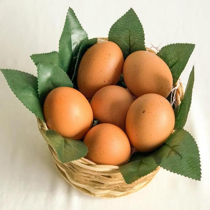 

Produk Baru!! Telur Ayam Negeri Segar Berkualitas Harga per Kg