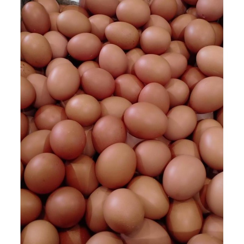 

Produk Baru!! Telur Ayam Negeri 1KG Fresh Peternakan Bandung Cimahi