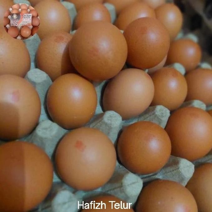 

Produk Baru!! Telur Ayam Omega 3 1kg Telur Sehat dari Kandang NKV