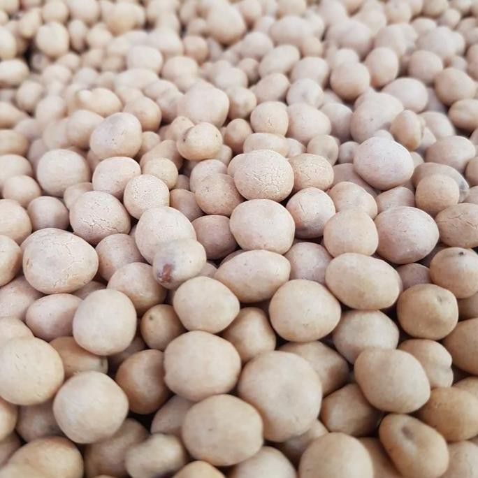 

Produk Baru!! Kacang Telur Medan Palapa 500gr Snack Renyah Gurih