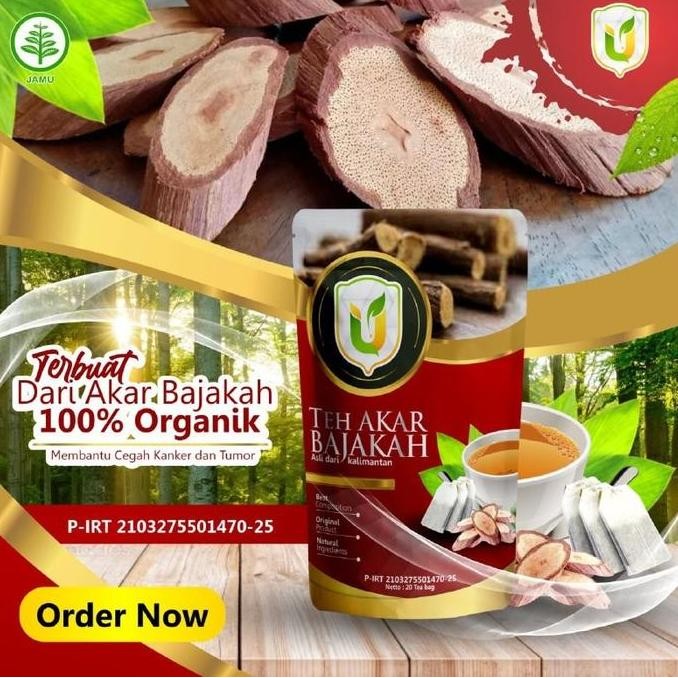 

Teh Celup Isi 20 Kayu Akar Bajaka Melawan Virus Sel Tumor Kanker Ganas