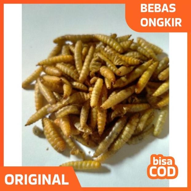 An85 Dw-45 Manggot Bsf Manggot Kering Pakan Ikan Predator Louhan Channa Arwana 100Gr An85