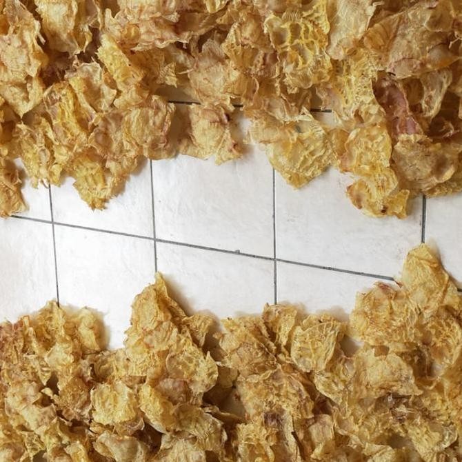 

Gelembung Ikan Manyung, Perut Ikan, Lambung Ikan, Hipio, Hupio, 100Gr #Gratisongkir