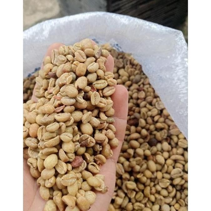 

GreenBean biji kopi exselsa