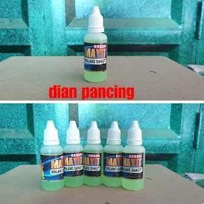 Esen Mayit Walang Sangit Isi 30 Ml Untuk Mujaer Dan Nila Media Lumut Ikan Pancing