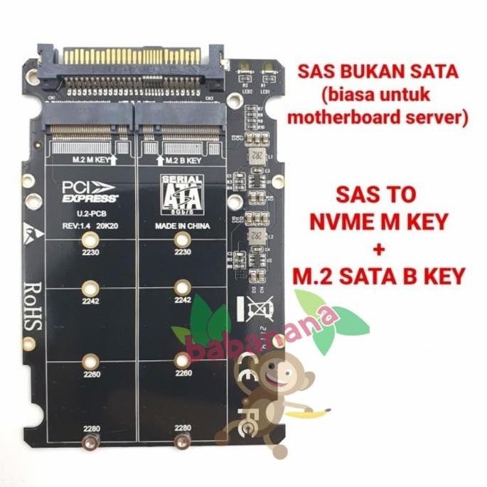Sas to nvme m key + m.2 sata b key adapter converter ssd murah