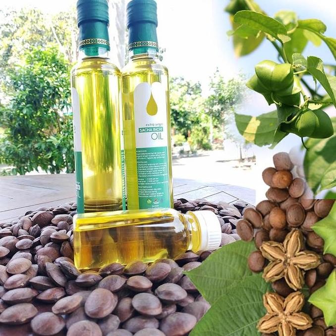 

Minyak Sacha Inchi Oil organik 250ml murni jernih rasa halus