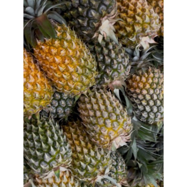 

[]COD[] __ Nanas Kelud / Nanas Madu / Nanas Blitar / Nanas Manis / Grade A / 1kg up