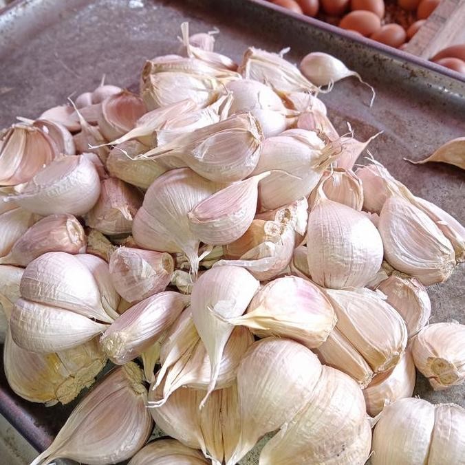 

Original Bawang Putih Kating Bersih Segar - Aroma Kuat Bebas Pengawet