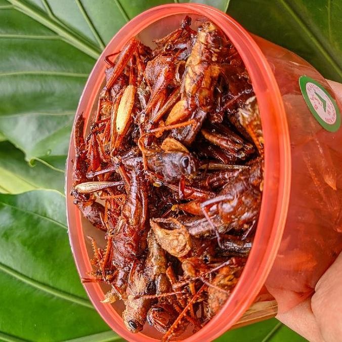 

BELALANG goreng BESAR Food Snack Makanan Snacks Cemilan