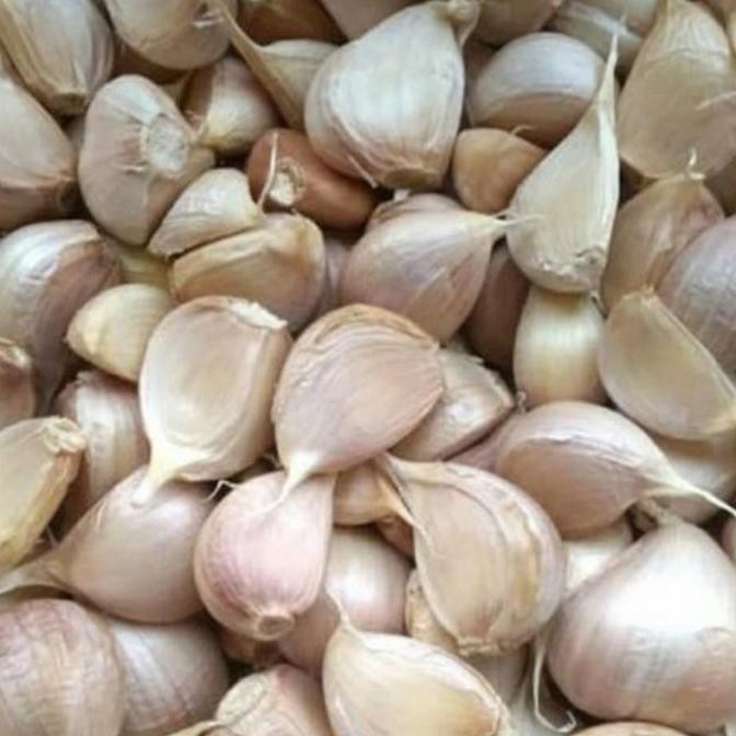 

Original Bawang Kating Super 1kg Bawang Putih Premium untuk Masakan Harian