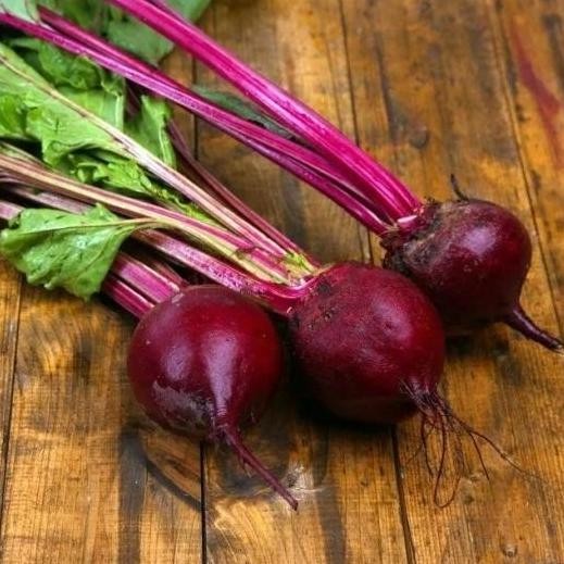 POHON BUAH BIT MERAH BIBIT TANAMAN BEET ROOT RED BISA COD