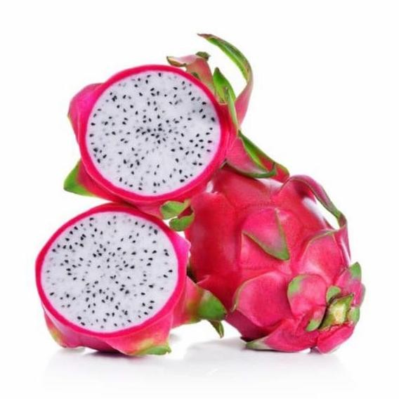 bibit tanaman buah naga putih pohon buah naga putih BISA COD