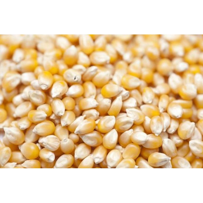 

JB Jagung Popcorn Kiloan Jagung Pop Corn 1Kg None