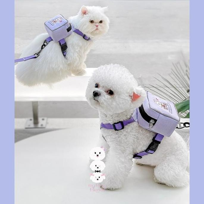 Tali Tuntun Lucu Kucing Anjing Kecil Backpack Harness Cats And Dogs
