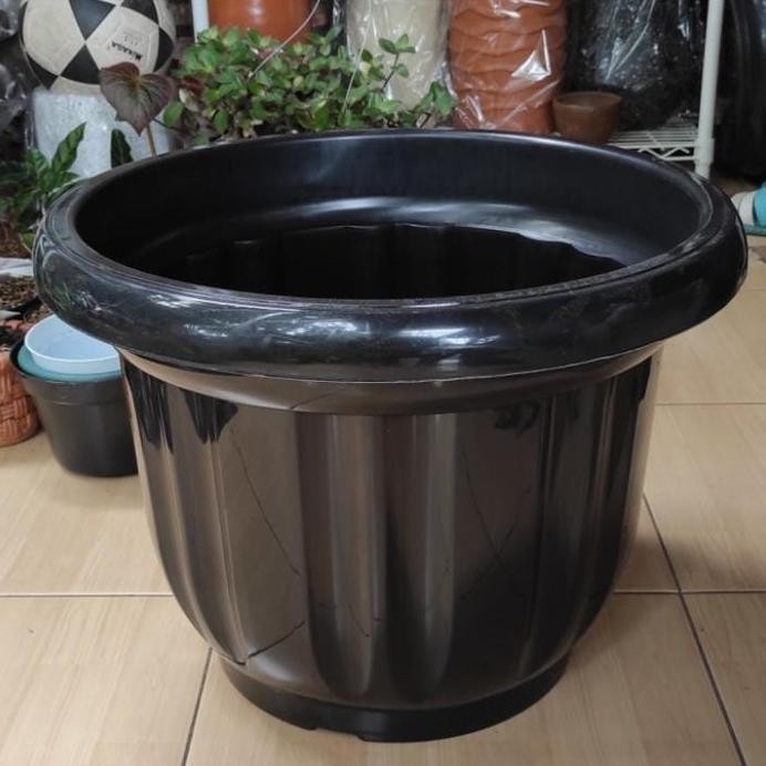 POT BESAR 50 HITAM MENGKILAP JUMBO POT TANAMAN BESAR MURAH Nugi