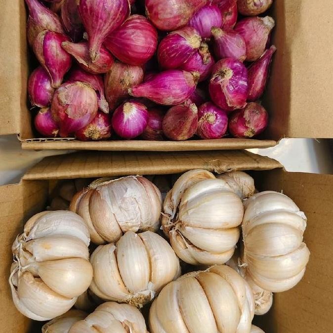 

Diskon! Paket Bawang Merah Brebes 500g & Bawang Putih 500g - Bumbu Dapur Komplit