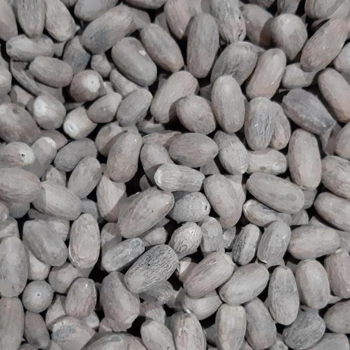 

Diskon! Biji Pala Panjang 250Gr | Nutmeg Whole Long Type Asli Rempah Premium