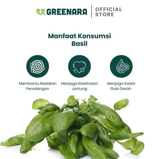 

Diskon! Daun Basil Kering 250G - Dried Basil Leaves Premium