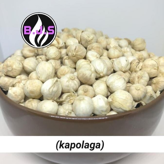 

Diskon! Kapulaga Putih 1Kg / Kapolaga / Kapol Lokal Super Wangi Grade Premium