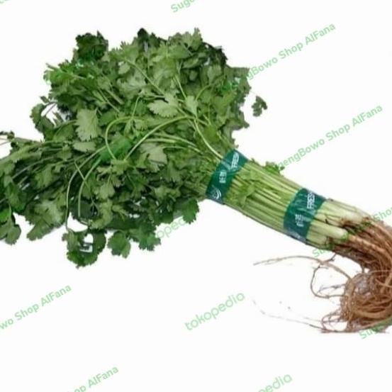

Diskon! Daun Ketumbar Segar 100Gr - Coriander Leaves Fresh Untuk Masakan