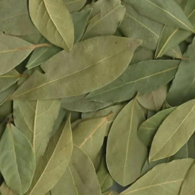 

Diskon! Daun Salam Turki 1Kg | Bay Leaves Turkey | Rempah Kering Premium