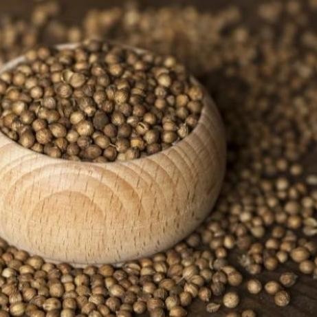 

Diskon! Ketumbar Organik 500 Gram / Coriander Seed Organik