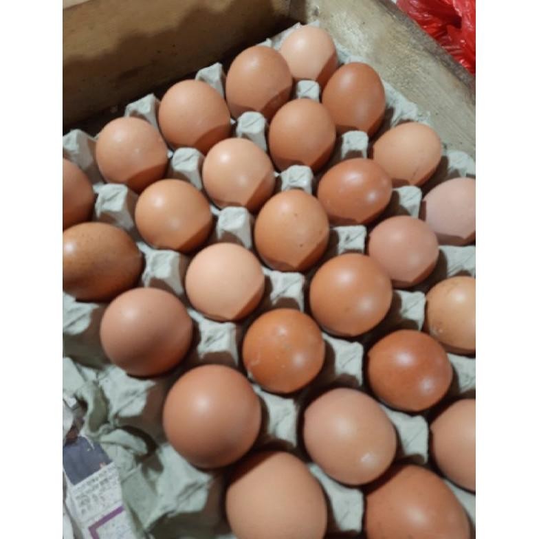 

Telur Ayam Negri 1 Kg aSt