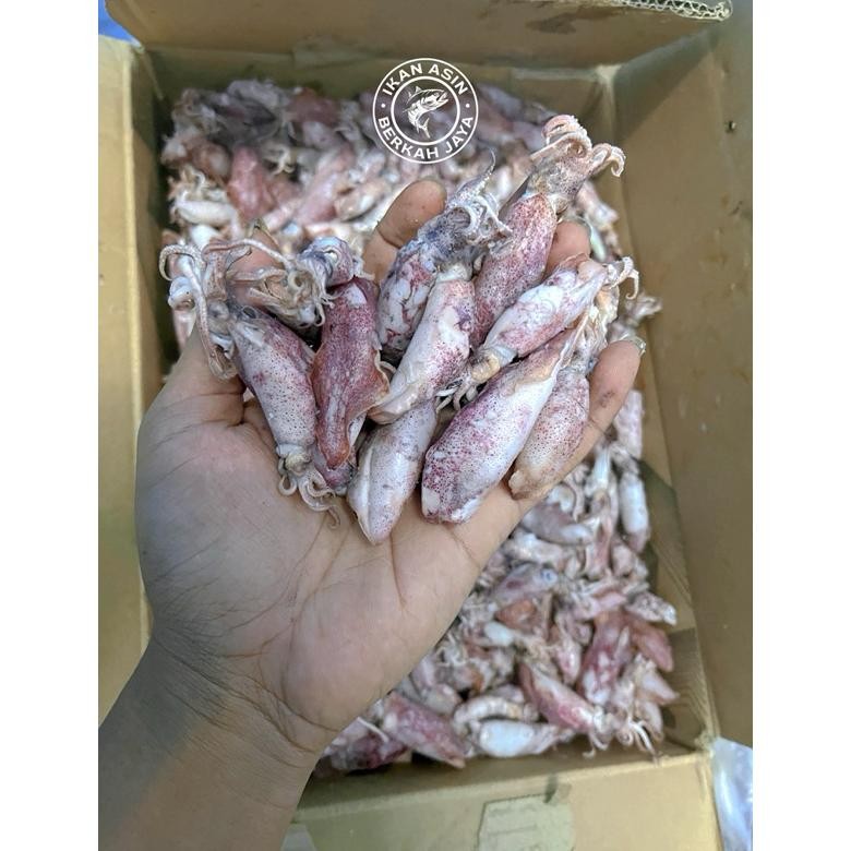 

Cumi Asin Bertelur Super Murah Halal Food aSt