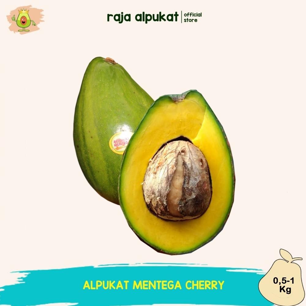 

Alpukat Mentega Chery Raja Alpukat Premium Bergaransi aSt