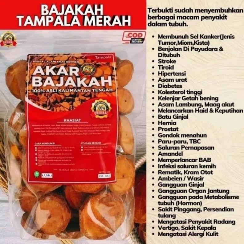 

AKAR BAJAKAH Merah untuk kanker dan tumor 250gram aSt