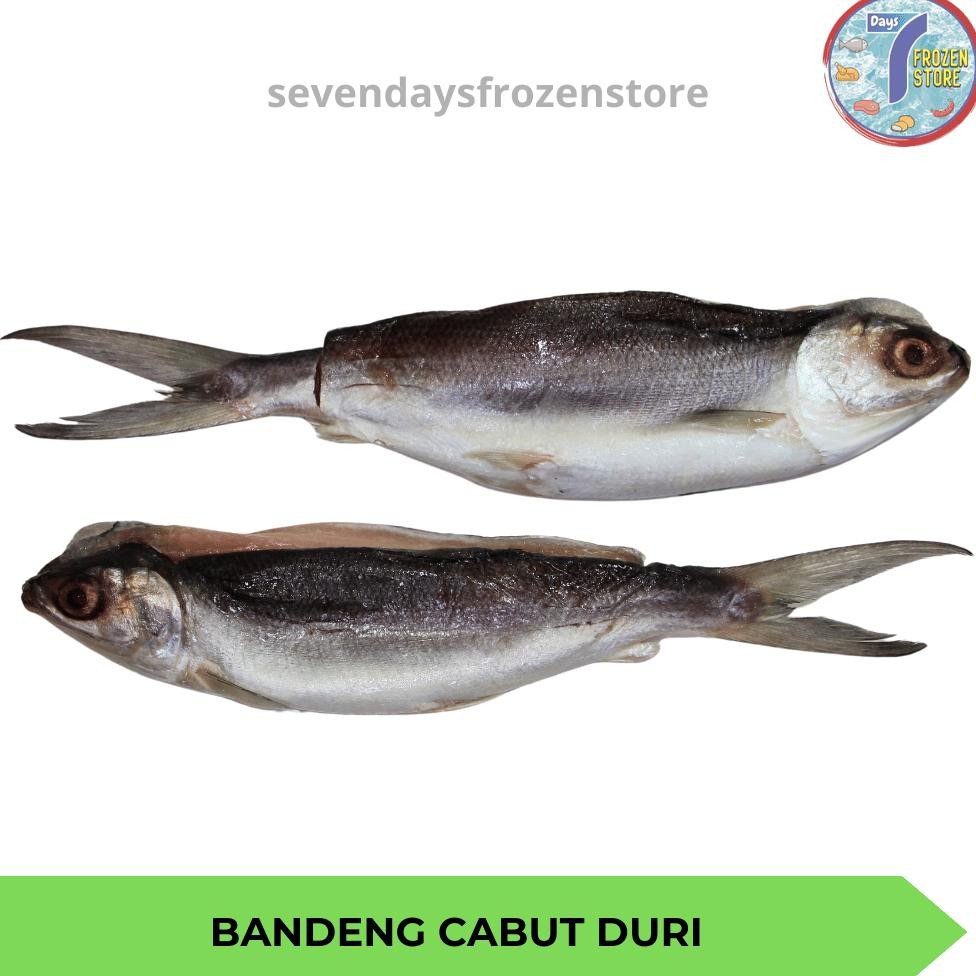 

Ikan Bandeng Cabut Duri | Tanpa Duri Beku Frozen aSt