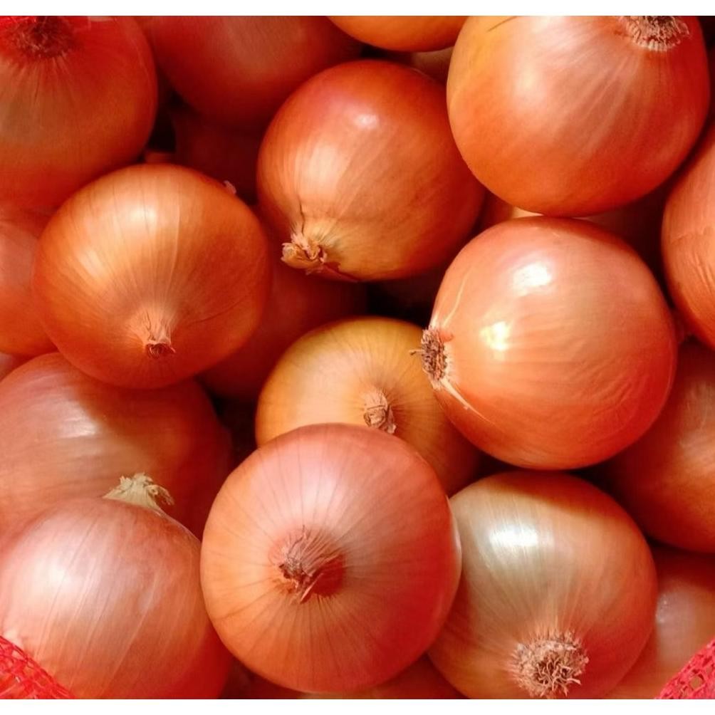 

Bombay Kecil 1 Kg - Bawang Bombay Super 1 Kg 50\60 aSt