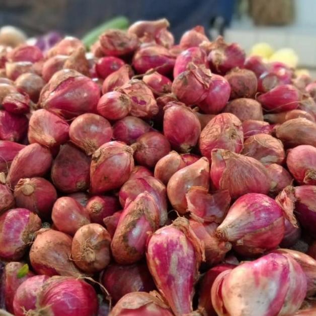 

Bawang Merah 500 gram aSt