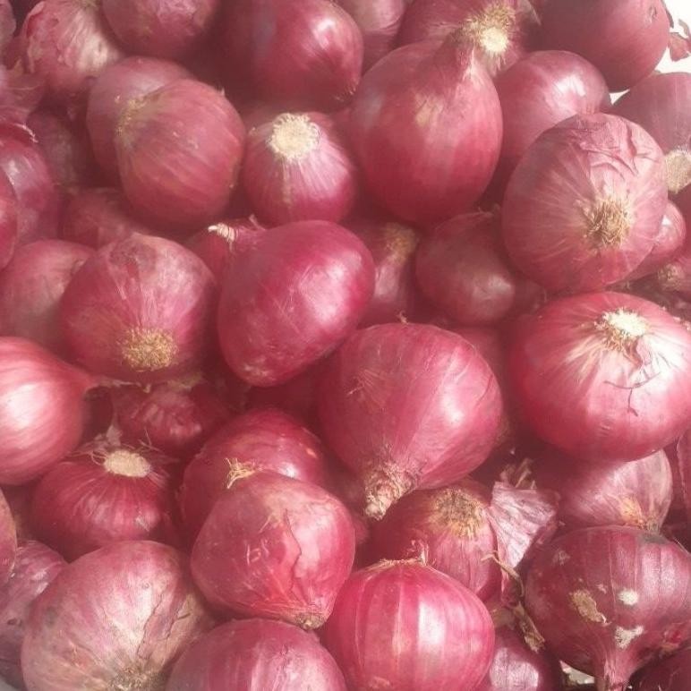 

Bawang Merah India 1kg Berkualitas Tinggi Fresh aSt