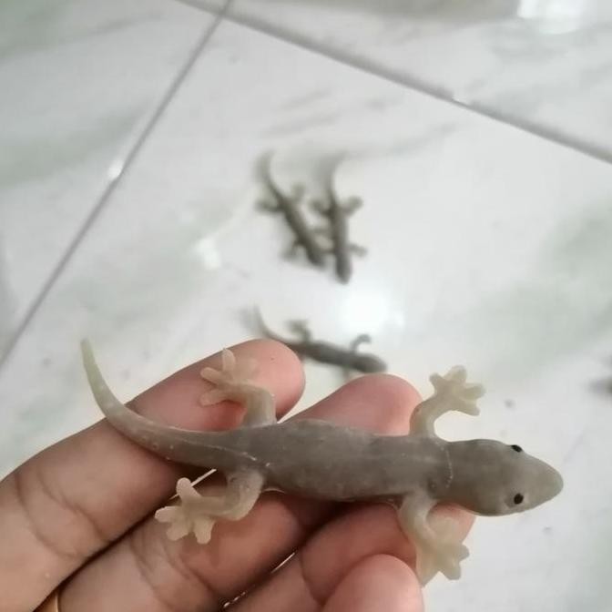 mainan cicak abu abu mirip asli