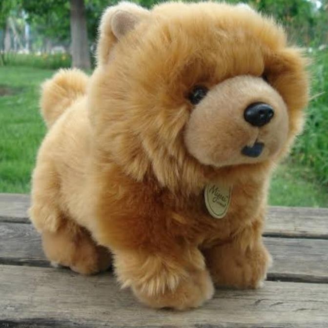 Boneka Anjing Chow-Chow